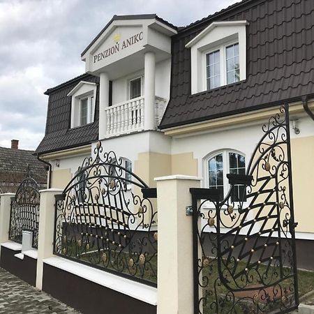 Penzion Aniko Diakovce-Sala Exterior foto